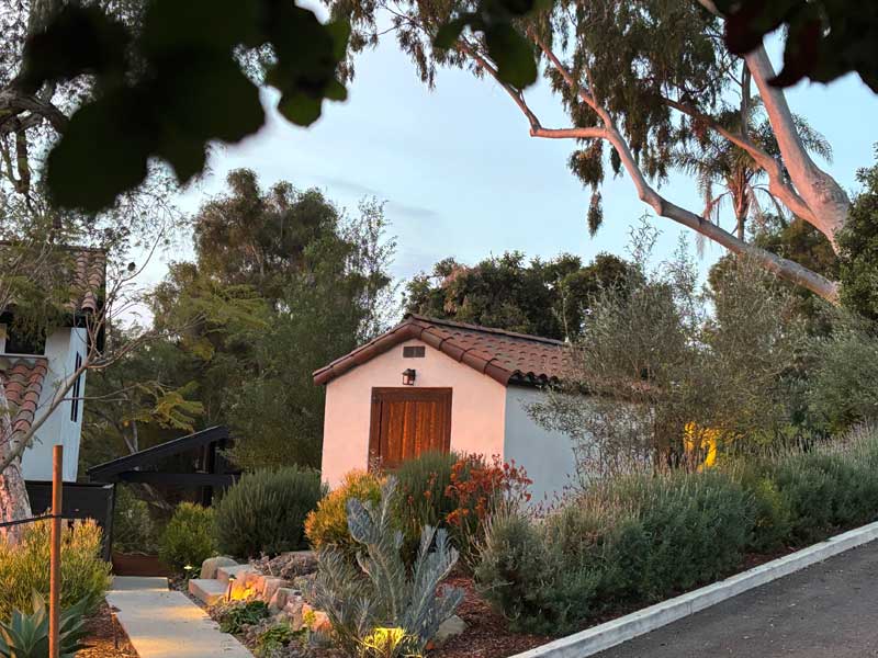 Spanish-style shed with rustic door, surrounded by an olive tree, lavender and succulents