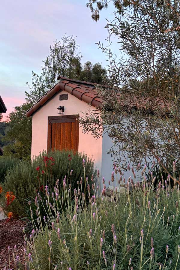 Spanish shed with olive tree, lavender and rosemary landscaping in santa barbara, ca