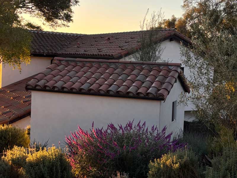 A spanish shed with window with mexican sage, lavender and olive tree landscaping